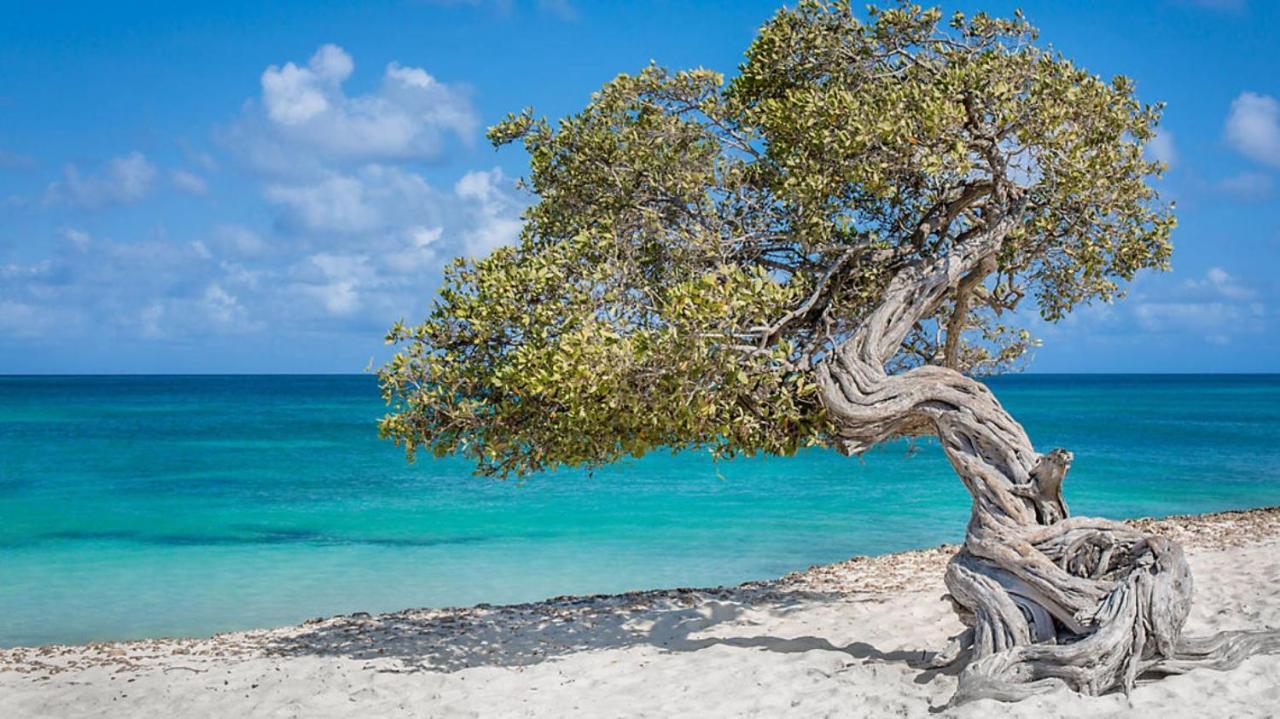 Bluegreen At La Cabana Beach Resort & Casino Palm Beach Esterno foto